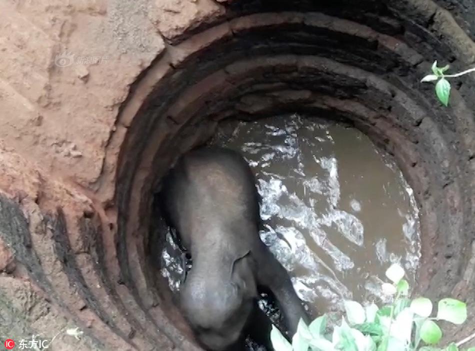 中信建投 ;| 关注字节,Force大会和AI产业链