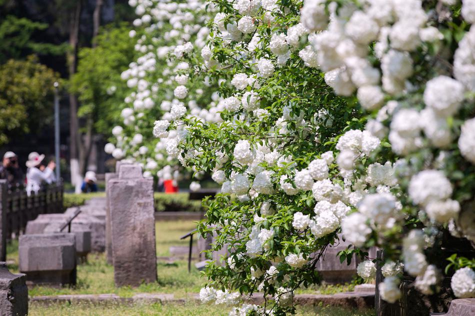 荣晟环:保价值持‘续’看好：标杆企业+新兴产业增长极