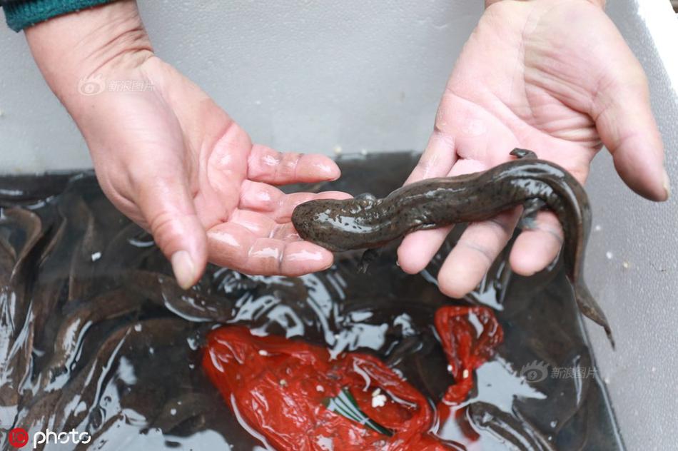 协合运维<董>事长陆一川：.新能源后服务赛道迎来重大机遇