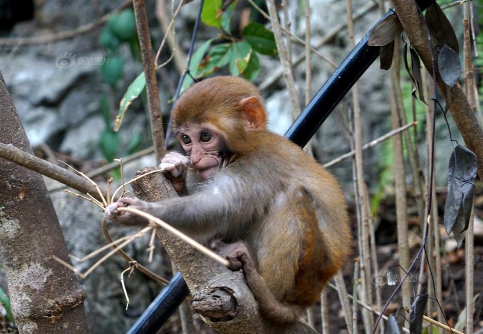 A:I是否会取代人类？凯文·凯利：AI没有责任感，不会替代人类工作