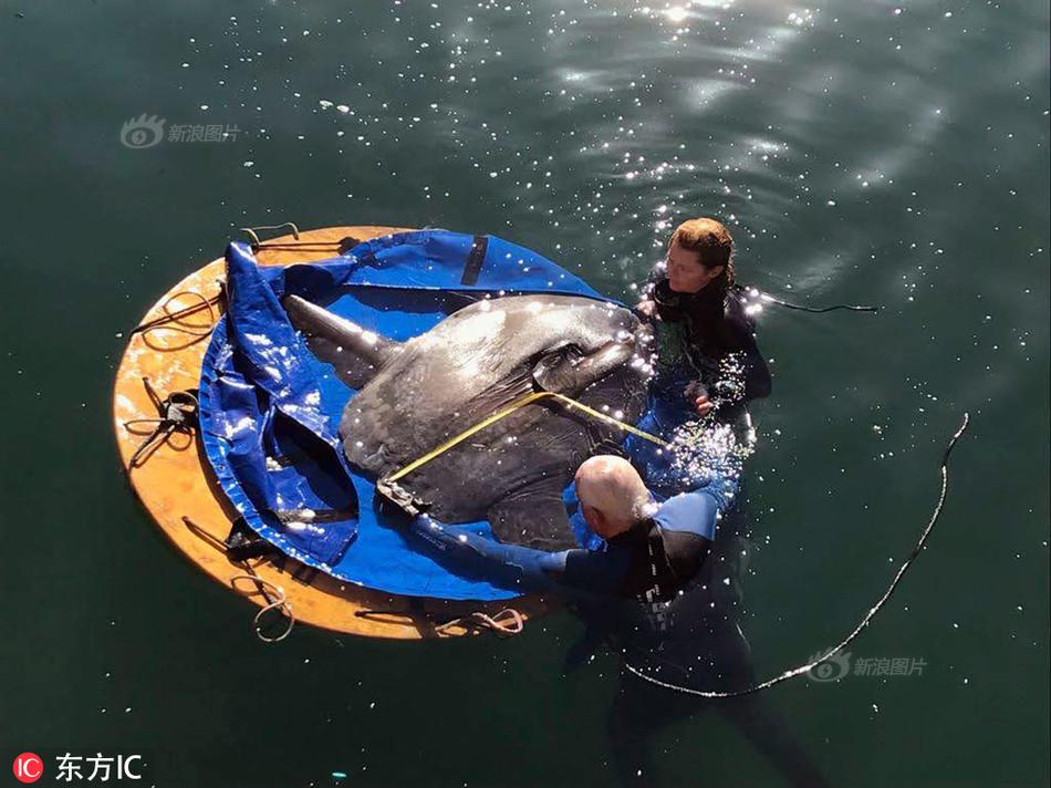 科网大?厂,中报拉开帷幕，腾讯“打头阵”，港股下半场机会来了