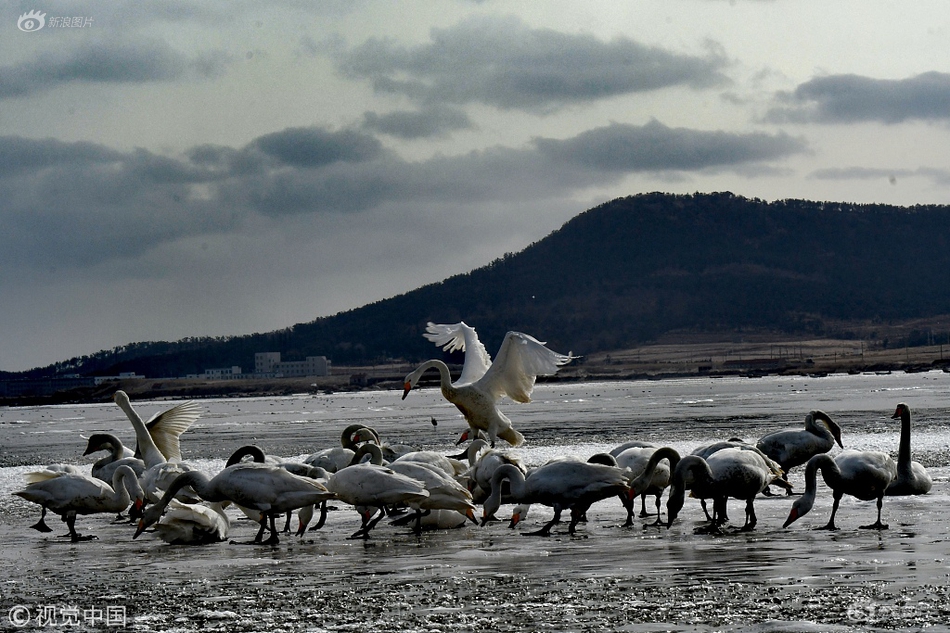 工业富联迈入!“万亿市值俱乐部”，释放三重信号！机构坚定看好电子板块，推荐四大主线！