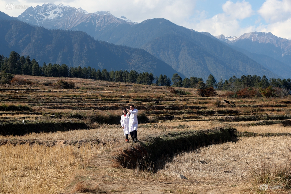 方正证券：维‘持’中国财险强烈推荐评级 预计全年保费和COR将延续改善趋势