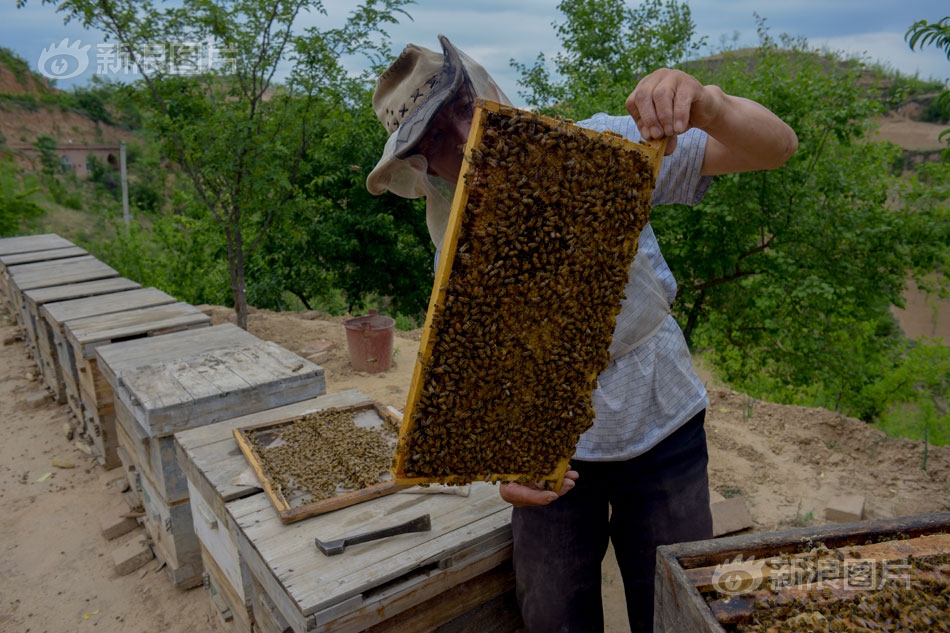 清华<联>手赛力斯.攻坚下一代电池技术 校企融合助推产业高端化