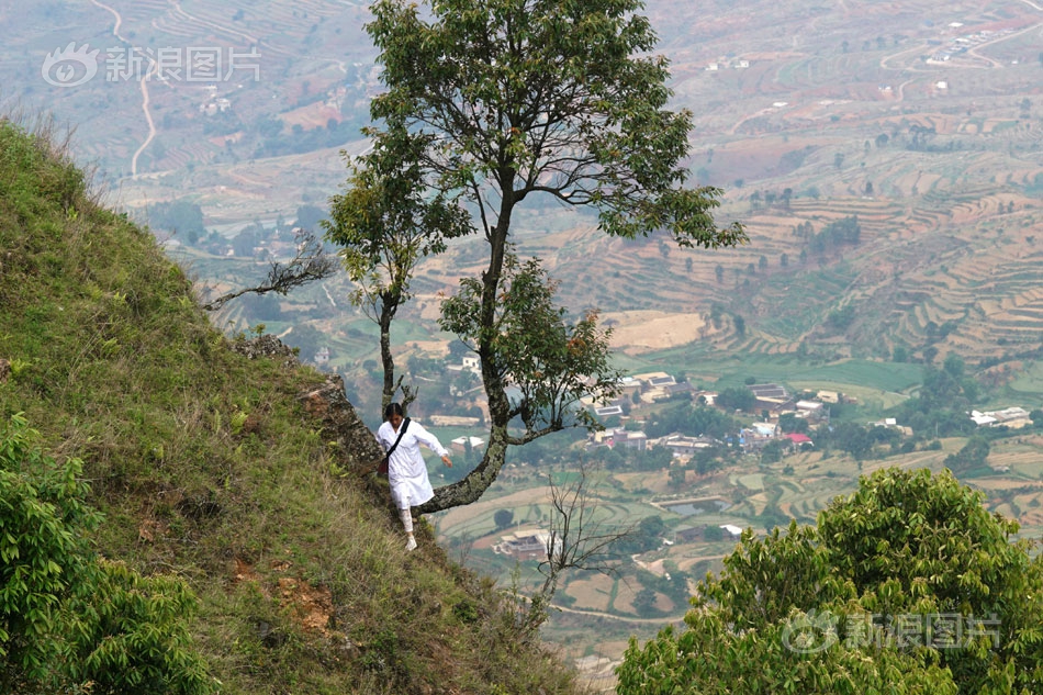 沪.指、深成指双双跌!逾1%