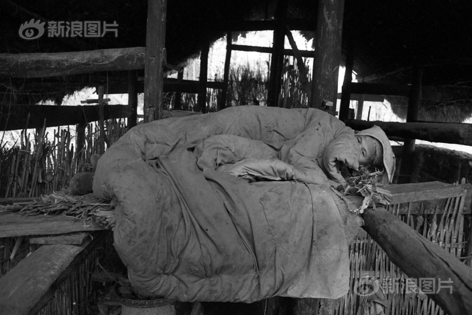 西藏—药业：上半年归母净利润5.67亿元，同比下降8.96%