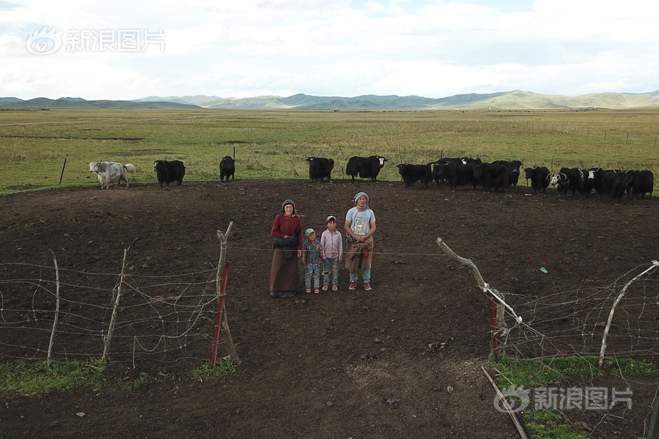 中绿电;（000537）预计2025年前三季度归母净利润同比下降0.44%-23.35% 存量项目限电率、市场化加剧及电价下行等因素所致