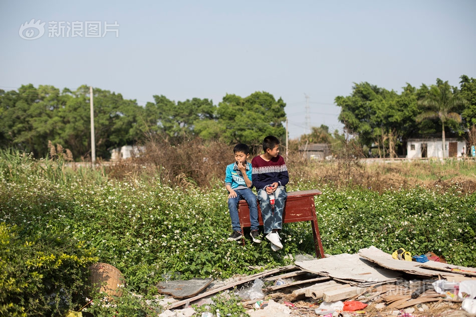 社交巨头被曝去年—靠诈骗?及违禁广告收入上千亿元，成全球欺诈经济重要支柱！美国证监会正在调查，公司回应