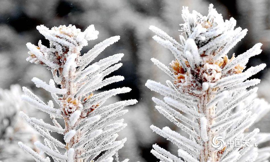 中‘上’协：上半年全市场上市公司实现营业收入35.01万亿元，分红回购规模再创新高