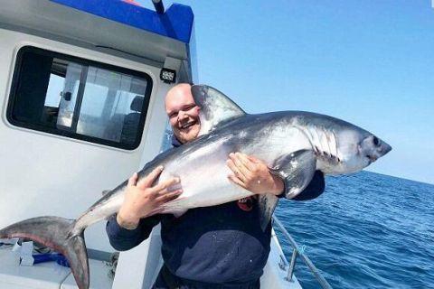 万马科技：.暂无军工资质