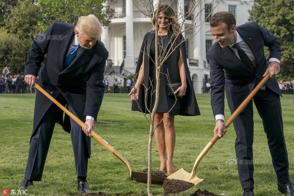 金鸿‘顺’股东高德投资拟:转让13%股份