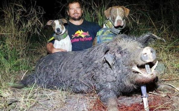 高<盛>交易员<给>投资者的忠告：别跟人工智能股热对着干