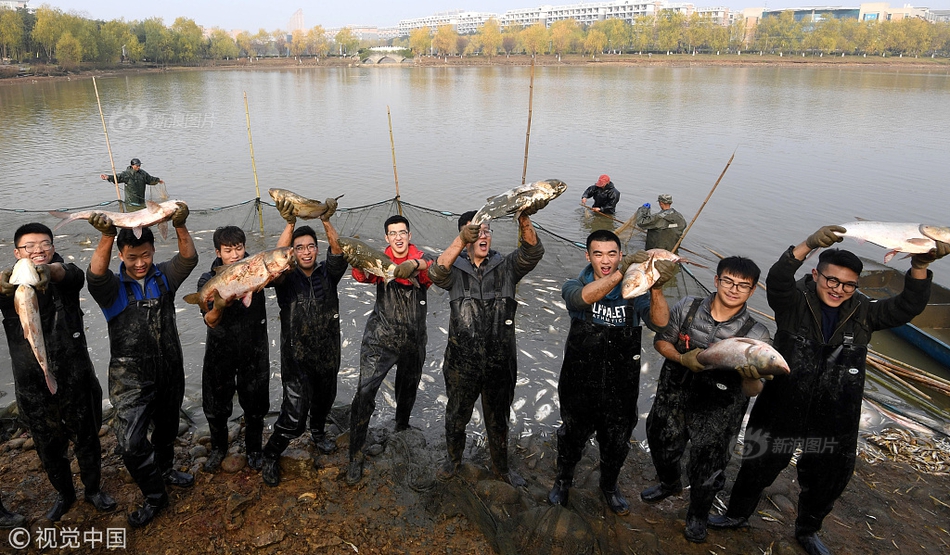 新特能源成:被执行人！