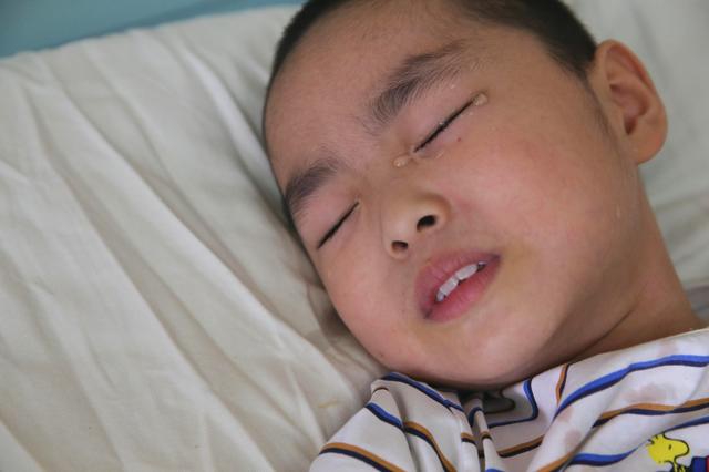 世,界贸易组织报告：人工智能有望重塑全球贸易