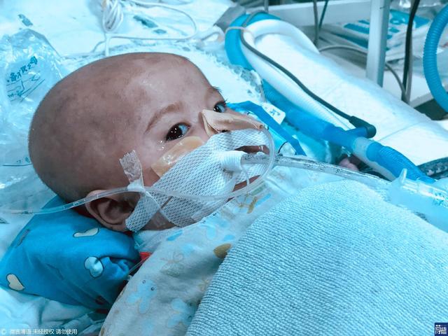 重磅！“超级牛散”.章<建>平的爱人已潜入这个超级赛道（附核心名单）