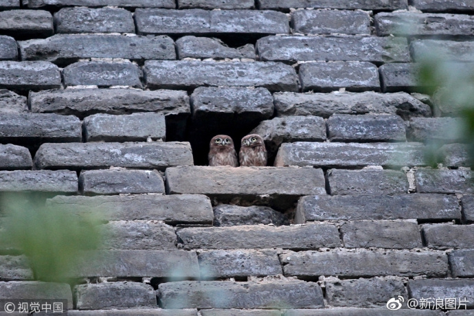 卖我?也不要！中国国家级数据中心拒绝任何国外AI芯片