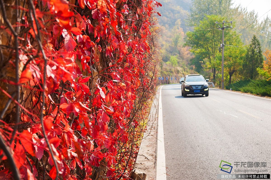 芯原股份,：初步确定询价转让价格为105.21元/股