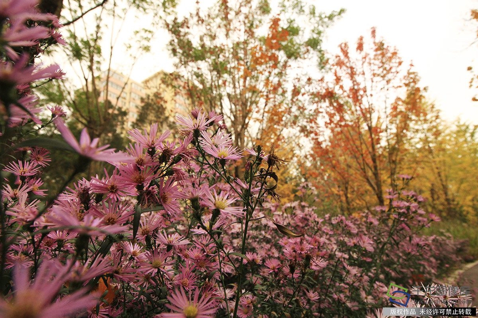 2!7.股每笔成交量增长超50%