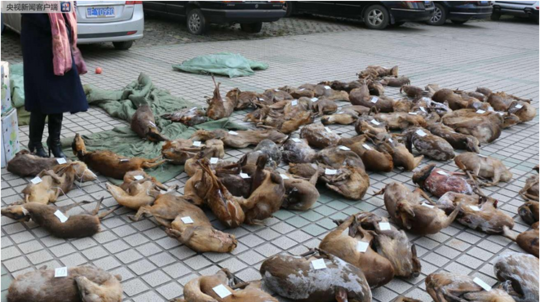 英飞!特股东誉恒投资减持31万股