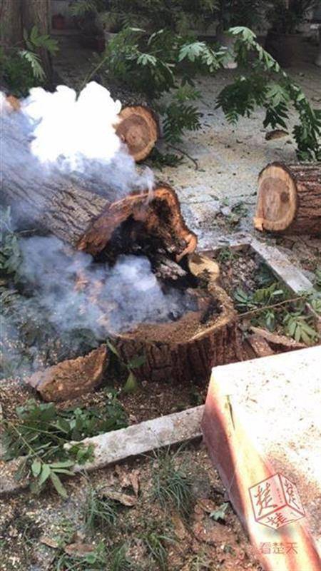 张.小泉：公司目前运转一切正常