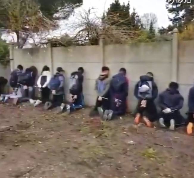 图解光?华股份中报：第二季度单季净利润同比下降34.40%