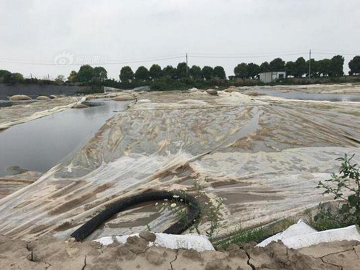 中国联通前三季度营业收入人民币2,930亿元，同比提升1.0%