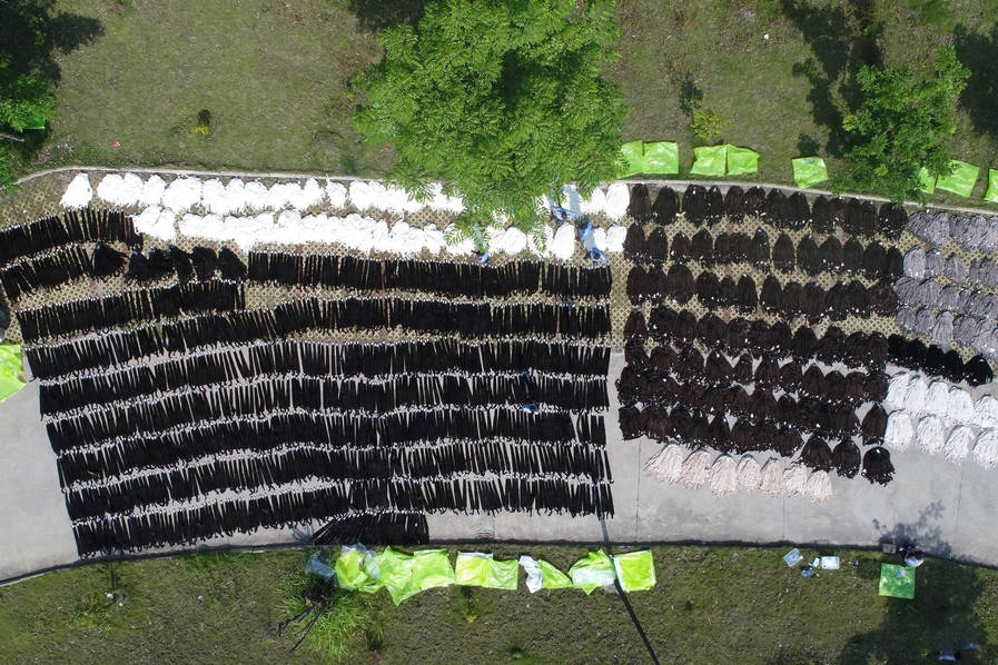 美联储威廉—姆斯.：谨慎看待9月降息可能 非农焦点是前两月下修