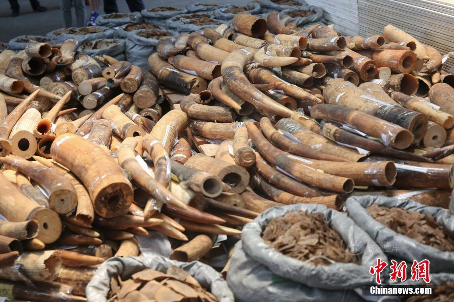 央:行将开展6000亿元一年期MLF操作