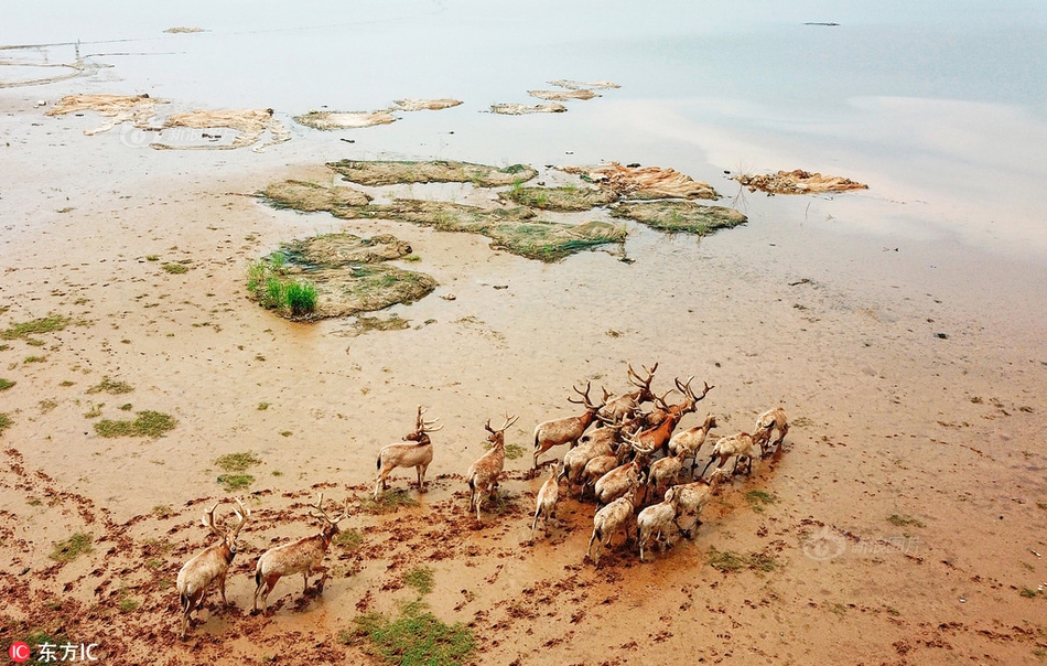 三星?医疗全资子公司预中,标约1.68亿元国家电网采购项目