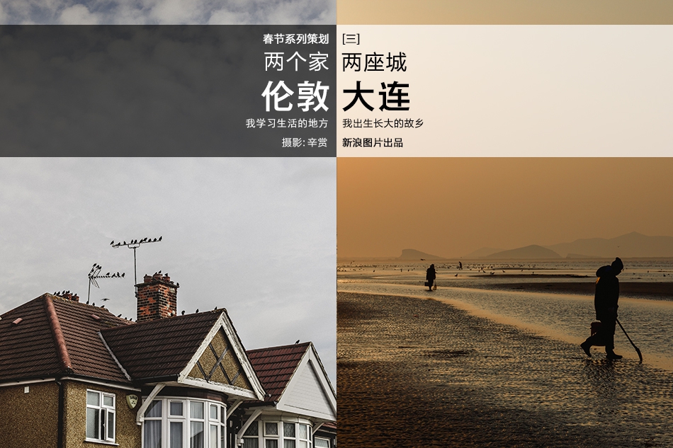 海南海药录得6天4板