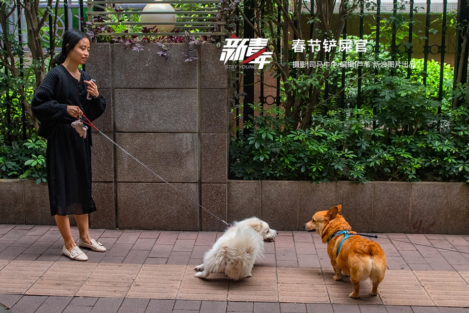 工业,金属CFO薪资PK:亚太科技CFO罗功武涨薪至115万 ROE及多项营运能力指标持续下降