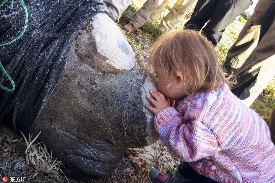 英<国>央行有意推行稳定币个人、企业持有限额 加密产业发声劝阻