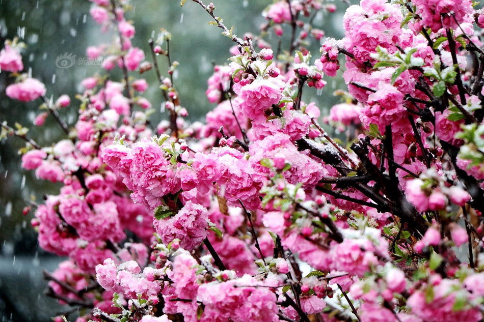 四:大<证>券报头版头条内容精华摘要_2025年10月13日_财经新闻