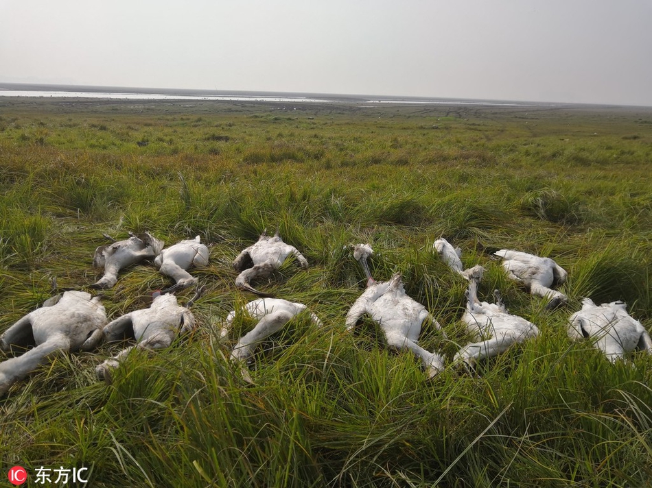 顺丰内部办;公应用“销帮”首次公开上架，携鸿蒙 5 探索智慧办公新体验