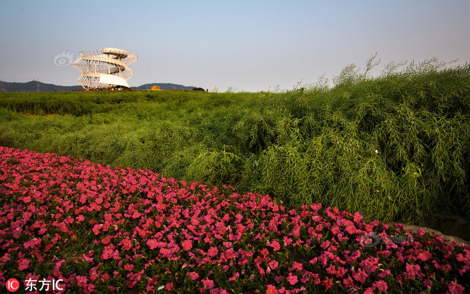 美的楼—宇科!技将出席2025年城市轨道交通绿色低碳发展交流大会