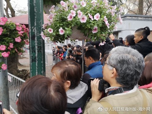 2‘5’0%！特朗普“预告”新关税：“希望药品在我们国家生产”，美股医药赛道多股大涨