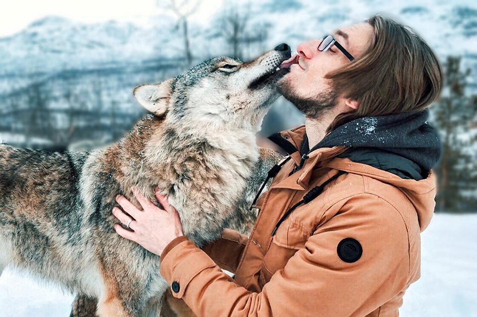 三:星,首款三折叠手机将发布，命名Galaxy Z TriFold