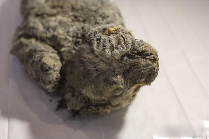 亿道;信息：公司与影翎公司有合作关系