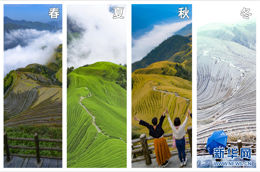 杨德龙—：本轮牛市行情确立 持续时间预计将超过两三年