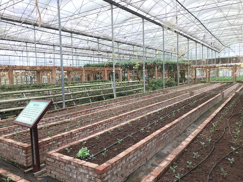 荣耀方飞:谈“豆,包手机”：AI手机赛道有新伙伴加入，让荣耀AI团队振奋