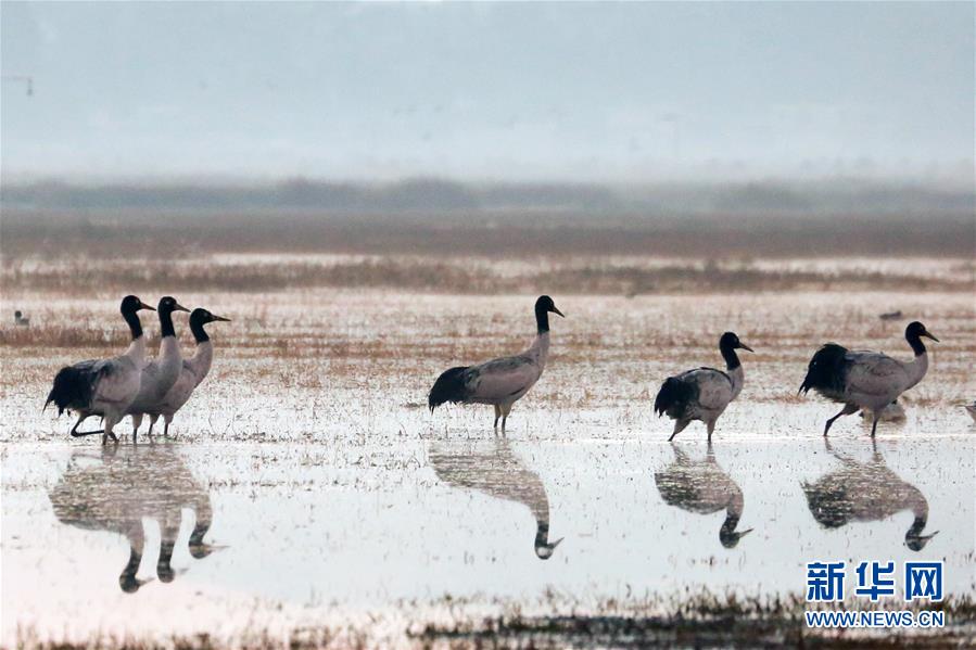 视?源股份再次荣<登> 2025 年度民营企业发明专利 500 强榜单