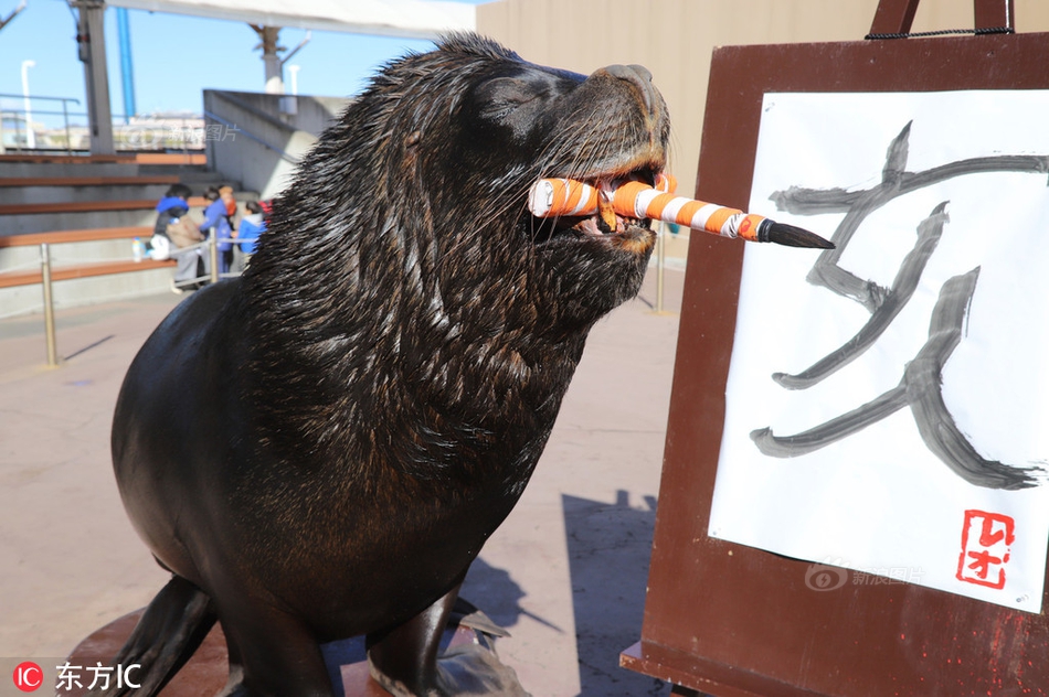 详解中信银行20‘2’5三季报： 息差企稳回升，利润增长稳健【中泰银行·戴志锋/邓美君/马志豪】