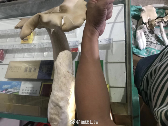 江苏.华‘辰’：可转债募投项目投产后 将具备500kV电压等级变压器的生产能力