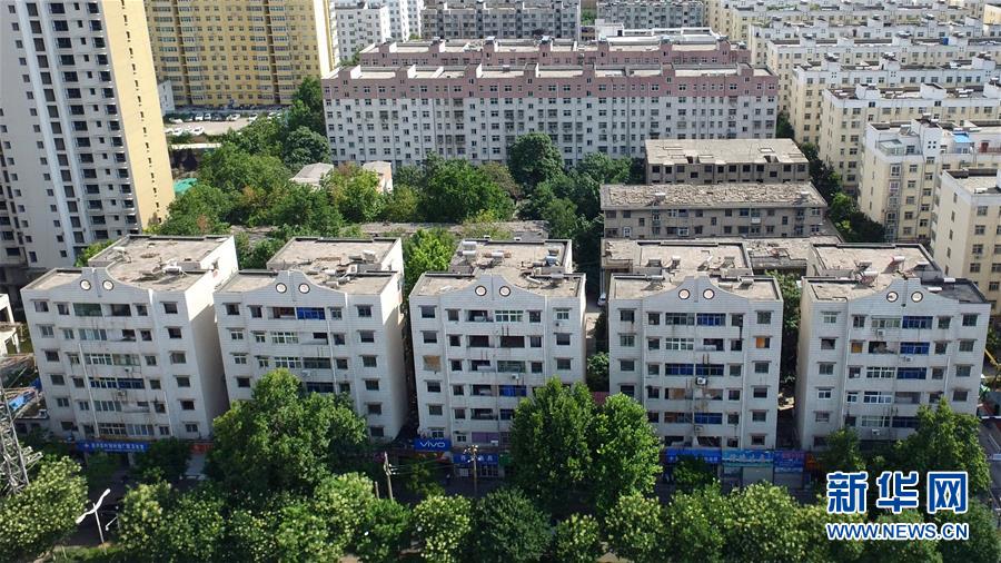 期‘权’数据显示：英伟达财报后市值或现2600亿美元波动