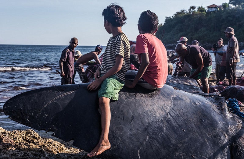 11月<5>日富春染织发布公告，股东减持60.19万股