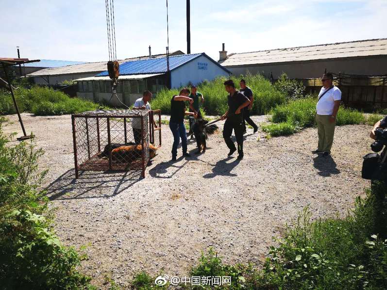 5‘.’15%！基本养老保险基金连续8年实现正收益