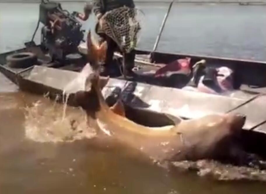 香港中?华煤气与林德港氧签署合作备忘录，构建香港本地氢能供应链