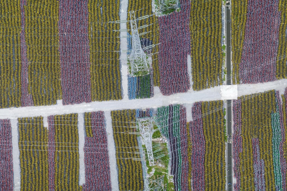 在岸—人民币兑美元较周一夜盘收—盘涨24点