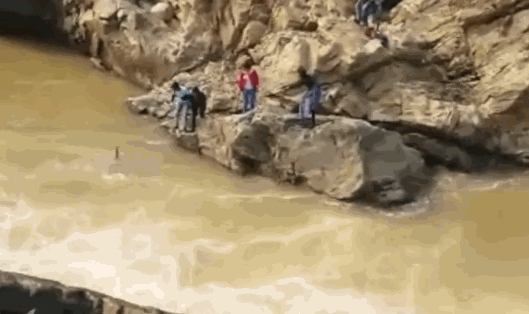 亿帆?医药：如有,重大事项公司将根据相关规则及时履行信息披露义务