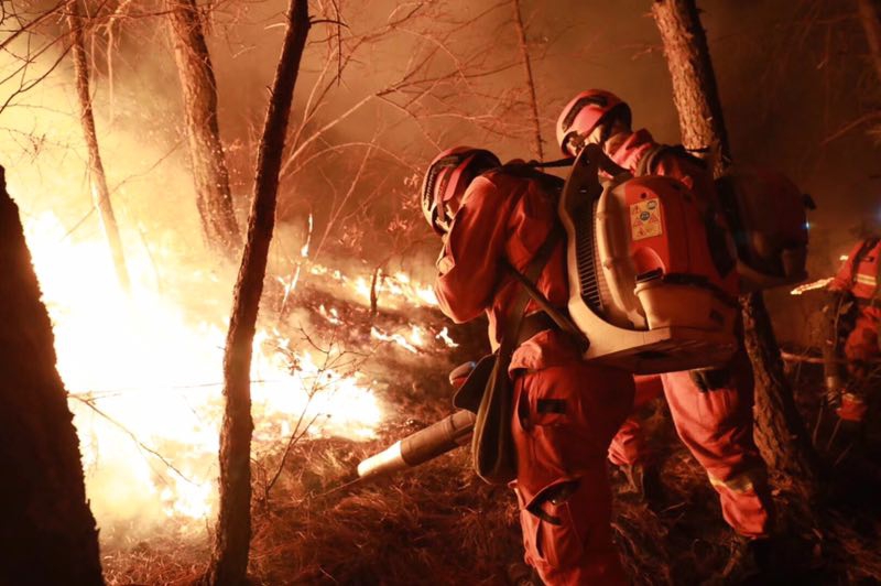 甲:骨文预计2030财年云计算营收达1660亿美元，占总营收近75%